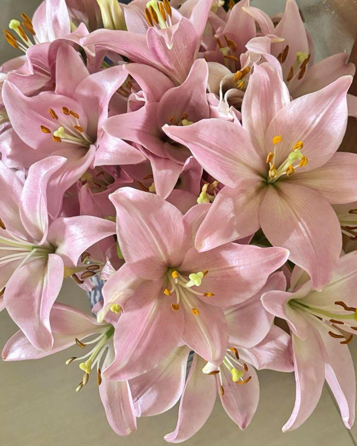 Celestial Blooms of Night's Whisper
